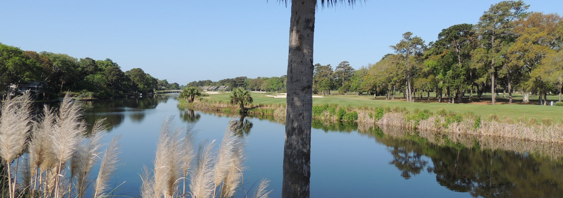 palmetto dunes 1