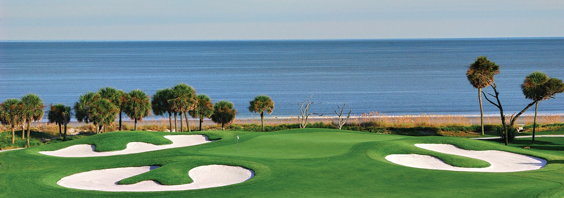 palmetto dunes 8